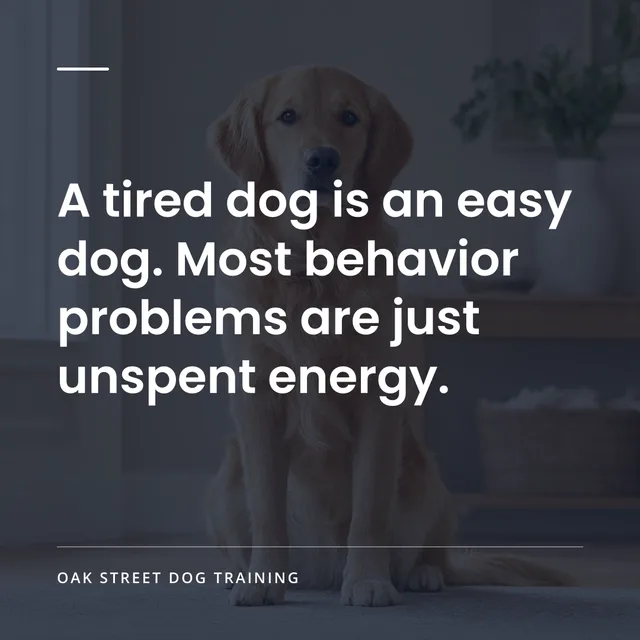 Social graphic: A tired dog is an easy dog. Most behavior problems are just unspent energy.