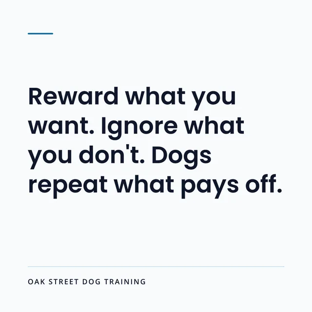 Social graphic: Reward what you want. Ignore what you don't. Dogs repeat what pays off.