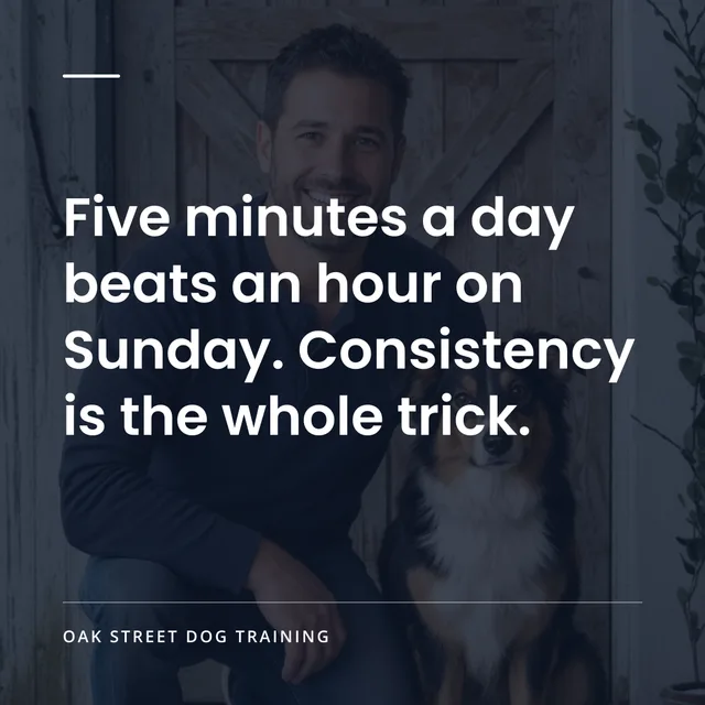 Social graphic: Five minutes a day beats an hour on Sunday. Consistency is the whole trick.